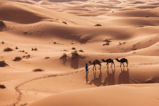 Una Semana en Marruecos desde Marrakech a Fez por el Desierto, Mejor Privado 7 Días en Marruecos de Marrakech a Fez vía Desierto de Merzouga.