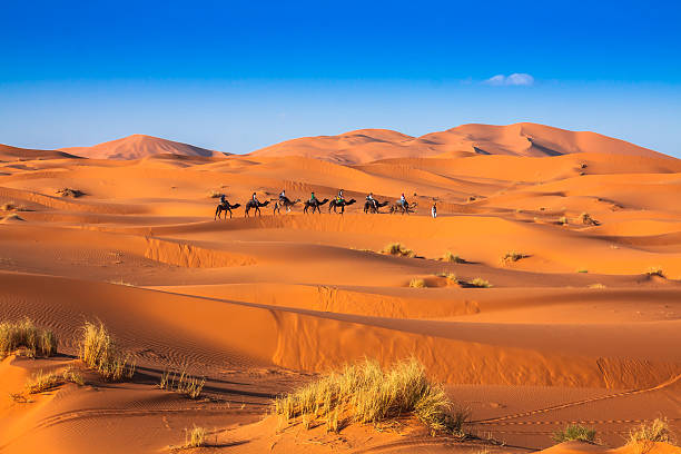 Viaje Organizado Marrakech 4 días al Desierto y Fez, De Marrakech a Fez pasando por el desierto, Tour por Marruecos, Viaje Marrakech.