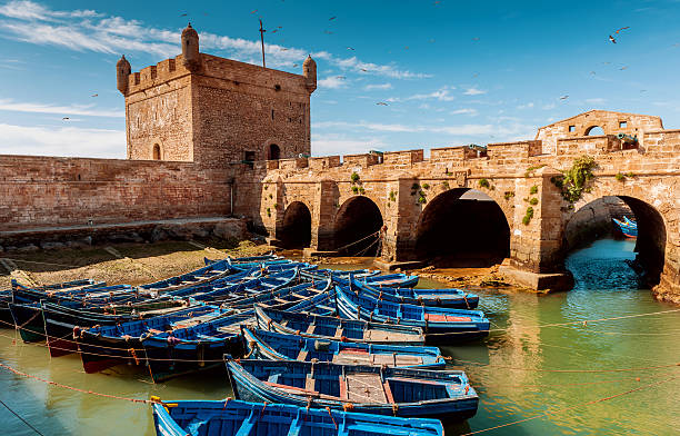 Excursión de un día de Marrakech a Essaouira